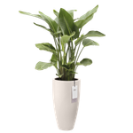 june round high 30cm linen white